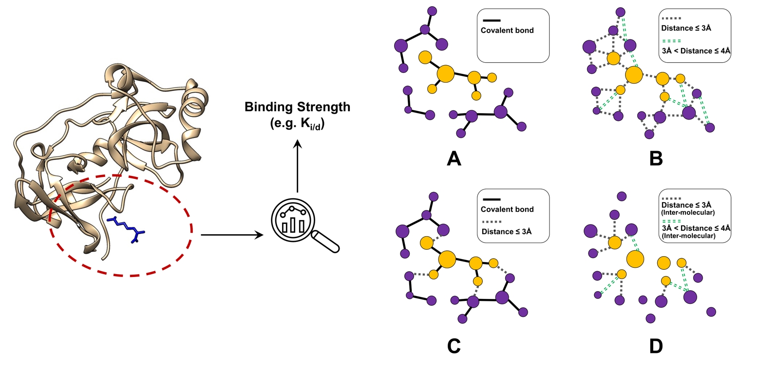Binding Affinity 1