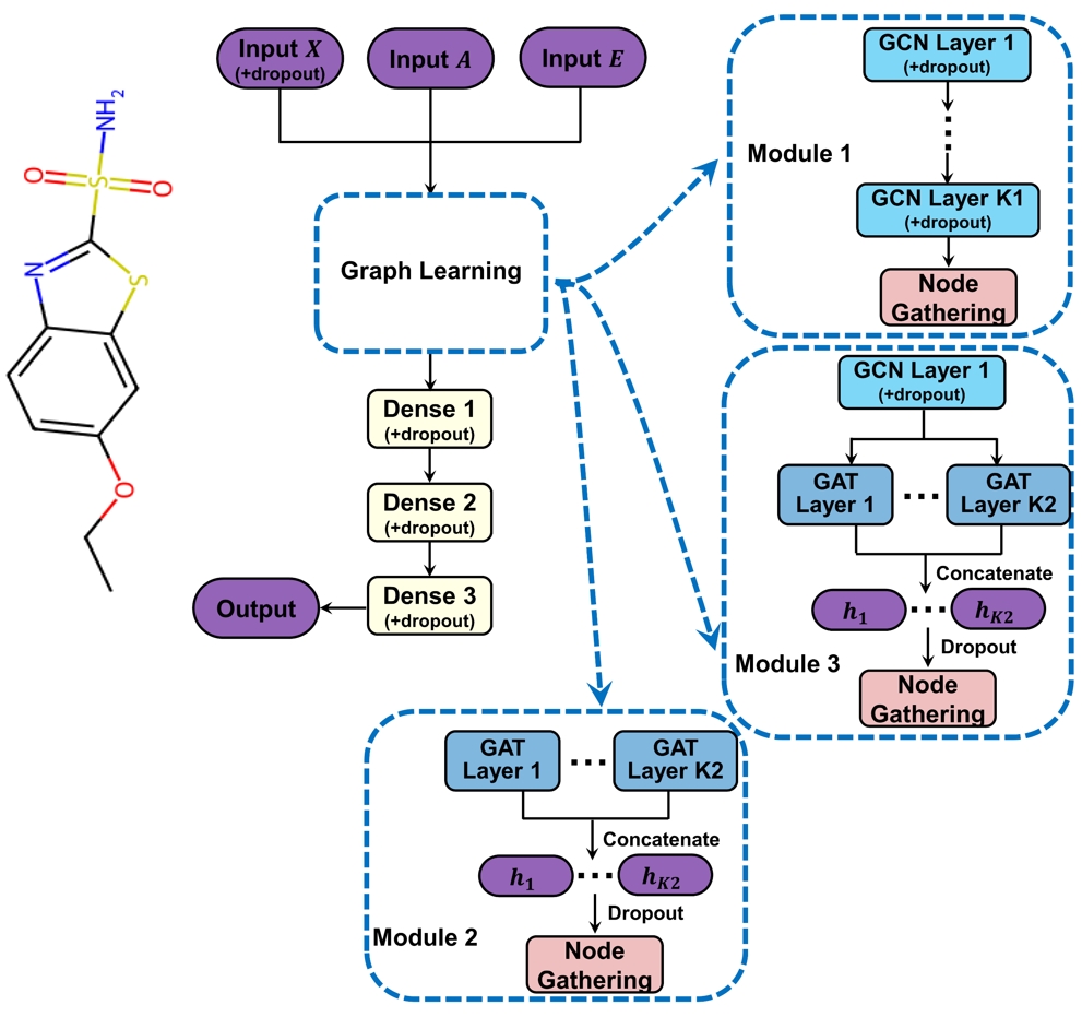 Molecular Toxicity