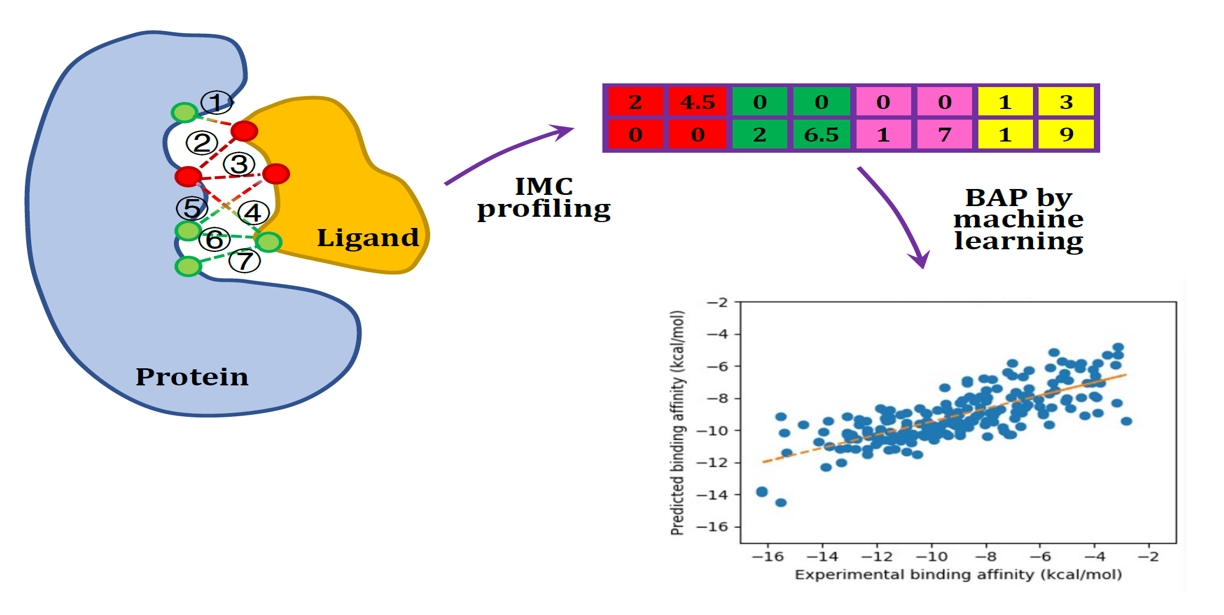 Representation Modeling