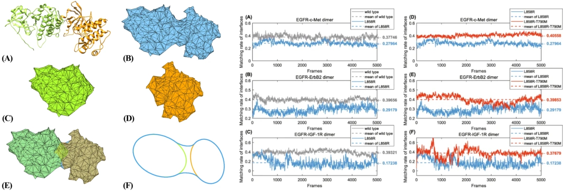Molecular Dynamics Simulation