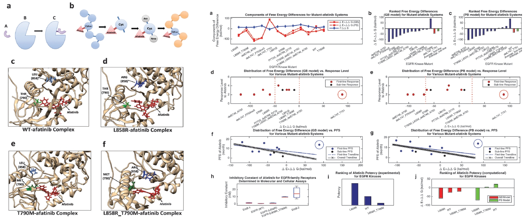 Drug Response Analysis